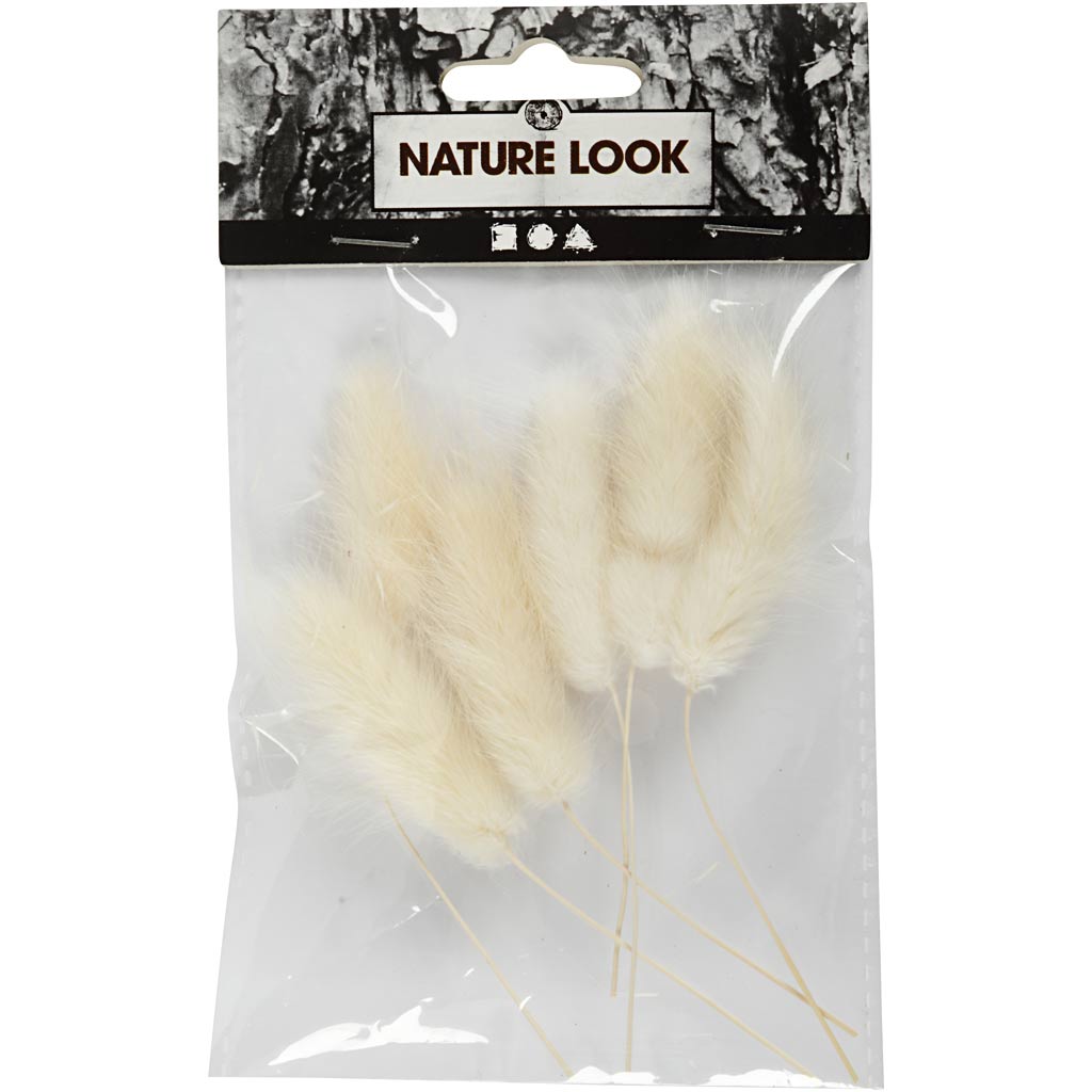 Harsvans-gräs, L: 3-7 cm, 6 st./ 1 förp. [HOB-50203]