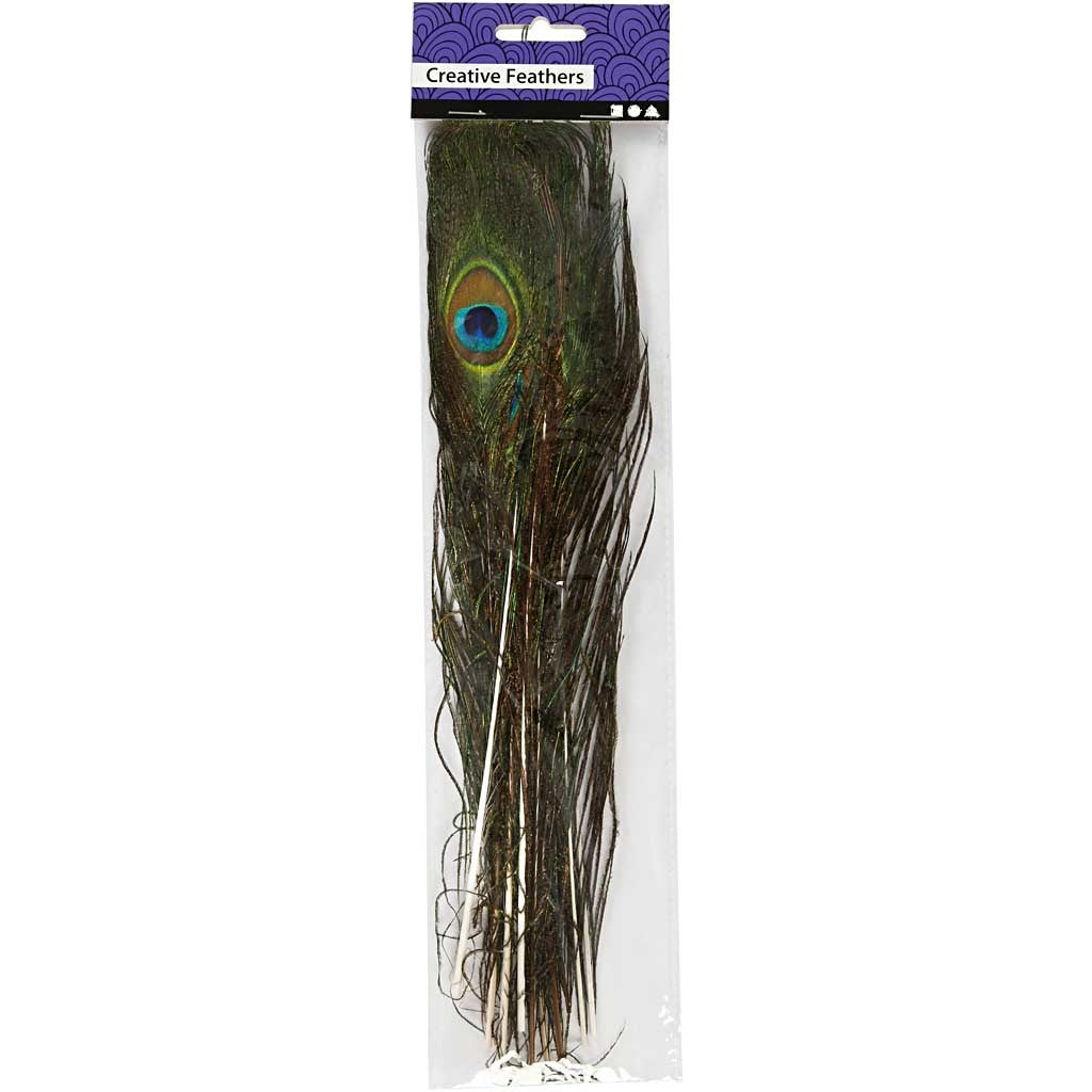 Påfågelfjädrar, L: 25-30 cm, 10 st./ 1 förp. [HOB-51810]