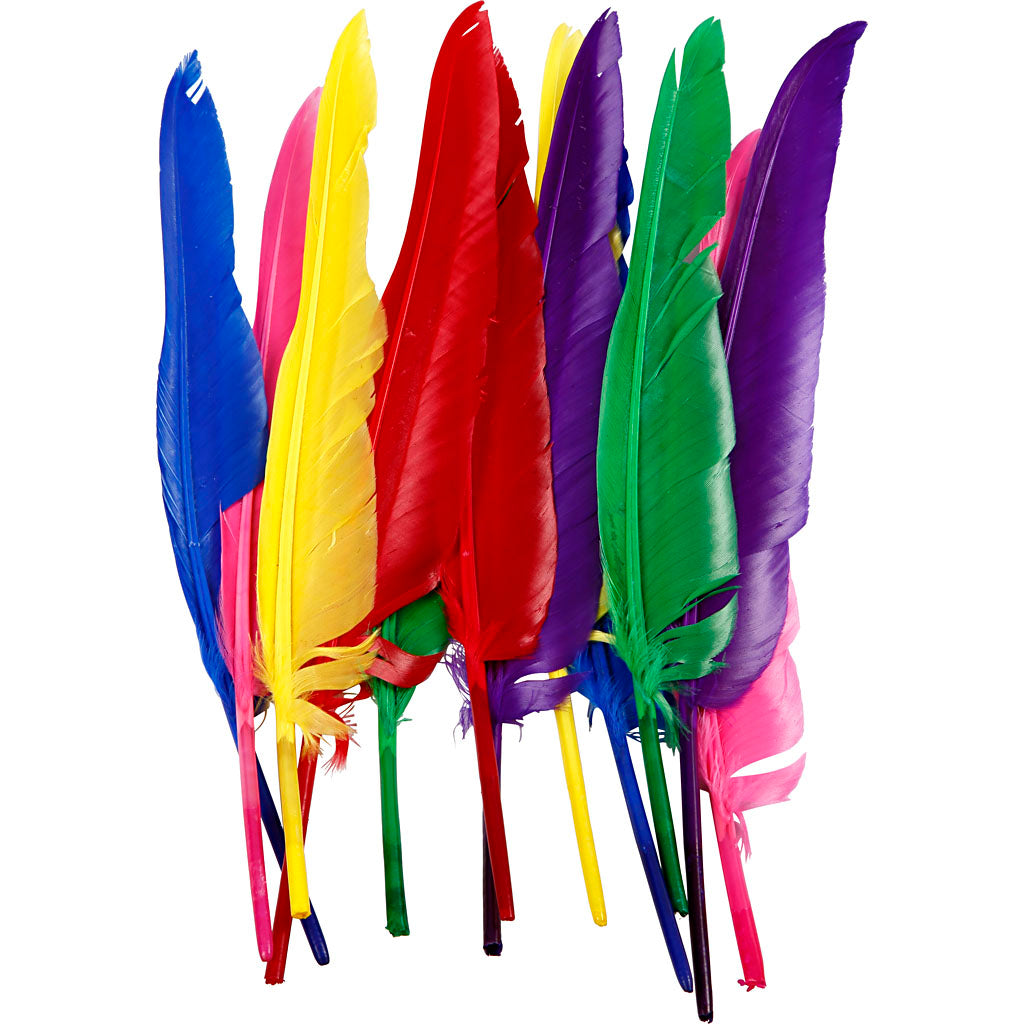 Feathers, L: 27 cm, assorted colours, 12 pc