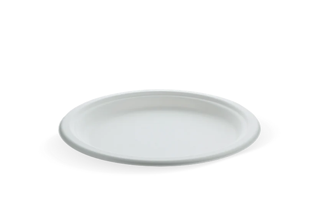 Tallrik sockerrör Ø22.5cm (500 st) [TK-9988103]