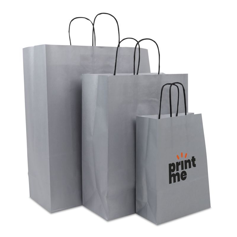 Papperskassar med tvinnade handtag 35 + 14 x 41 cm Silver (250 st.) [FP-DPT074]