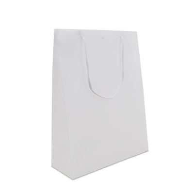 Plastkassar med tryckknapp 26 + 10 x 35 cm Semi-transparent (100 st.) [FP-DQC007]