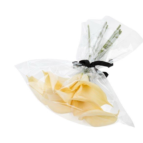 Plastpåsar 51,9x62cm Transparent (100 st) [B20NF]