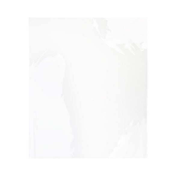 Plastpåsar 57x72cm Transparent (100 st) [B22NF]