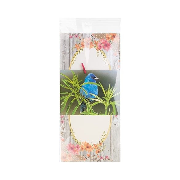 Plastic Bags 14.5x30.6cm Transparent Peel and Seal