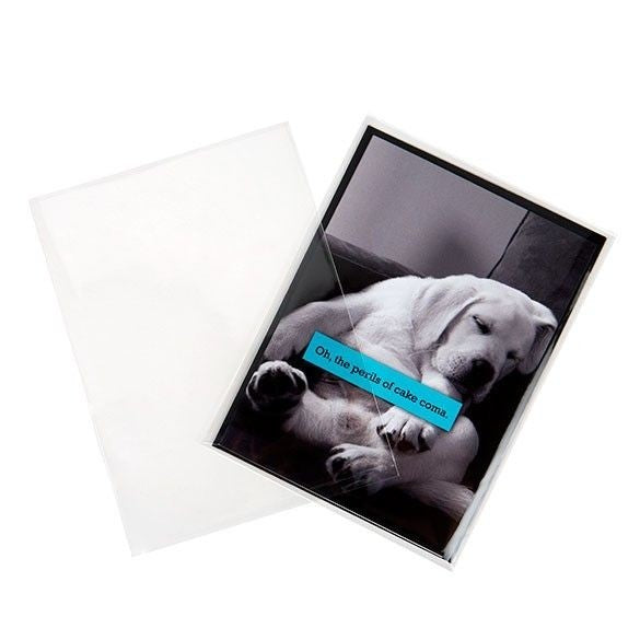 Plastpåsar 12,5x17cm Transparent (100 st) [B65NF]