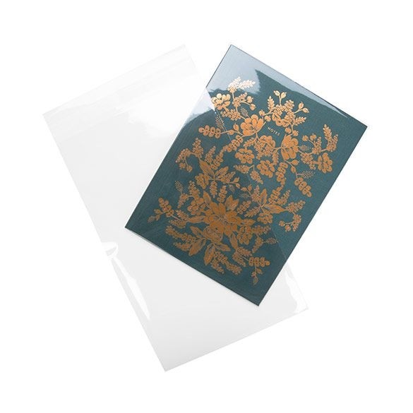 Plastpåsar 15,7x25,4cm Transparent med Tejpremsa (100 st) [B6X10]