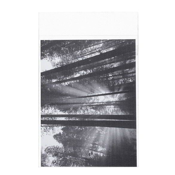 Plastpåsar 13,8x18,4cm Transparent med Tejpremsa (100 st) [B75PC]