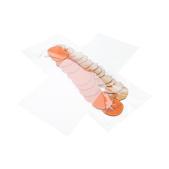 Plastpåsar 21,4x51,4cm Transparent med Tejpremsa (100 st) [B820]