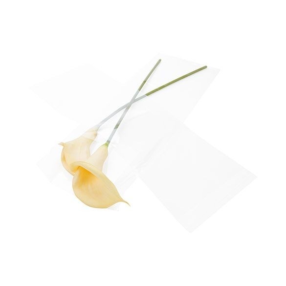 Plastpåsar 21,9x59,7cm Transparent med Tejpremsa (100 st) [B823]