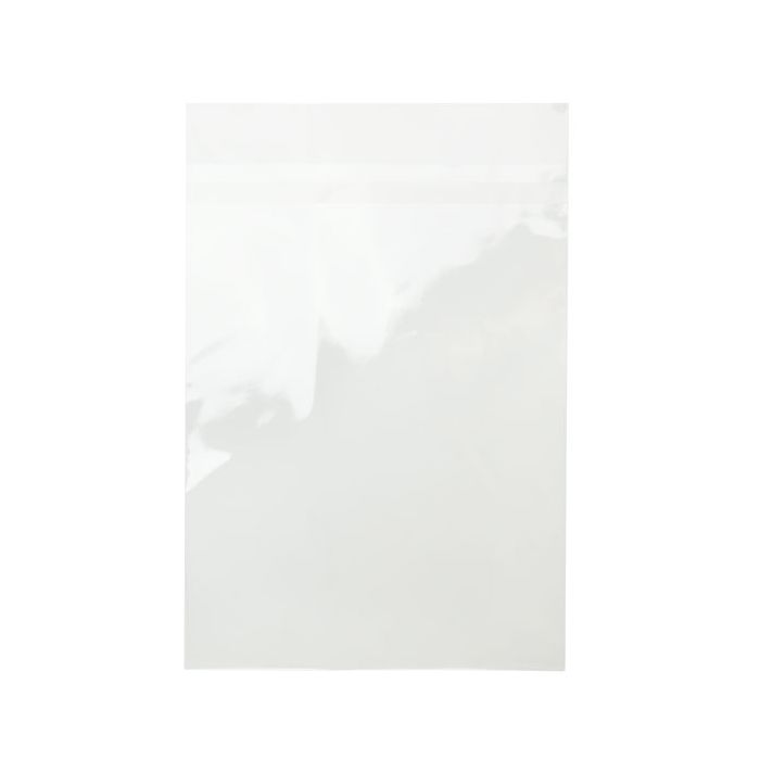 Plastpåsar 25,2x33,7cm Transparent med Tejpremsa (100 st) [B913XPC]