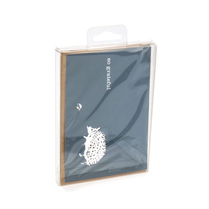 Plastlådor 9,6x1,6x13,2cm Kristallklart med galge i mitten (25 st) [CHFB10]