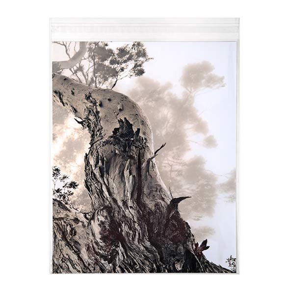Plastpåsar 22x28cm Transparent med Tejpremsa (100 st) [B811S]