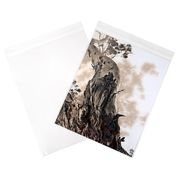 Plastpåsar 28,6x35,9cm Transparent med Tejpremsa (250 st) [VL11S]