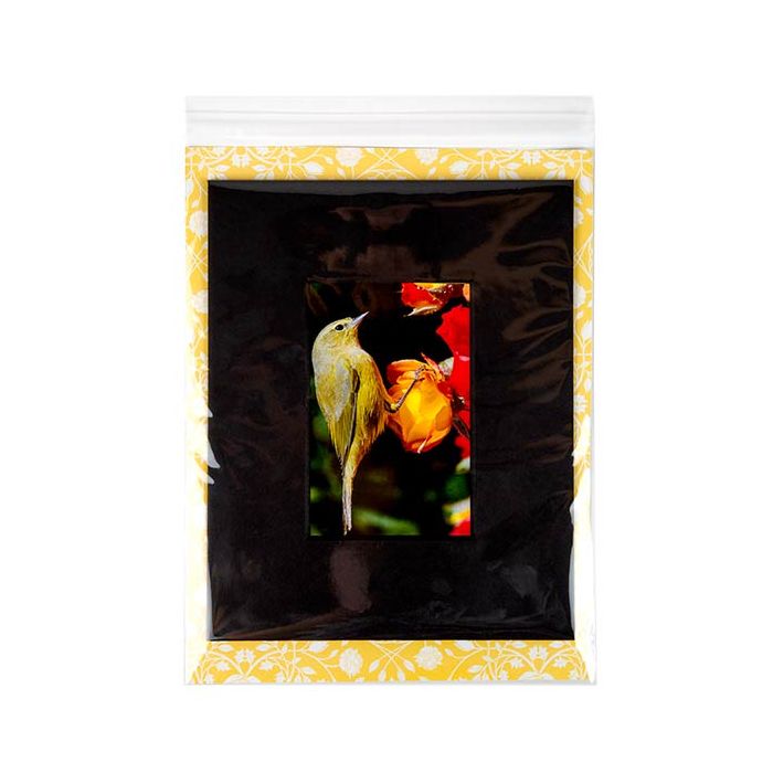 Plastpåsar 22,7x28,6cm Transparent med Tejpremsa (250 st) [VL811]