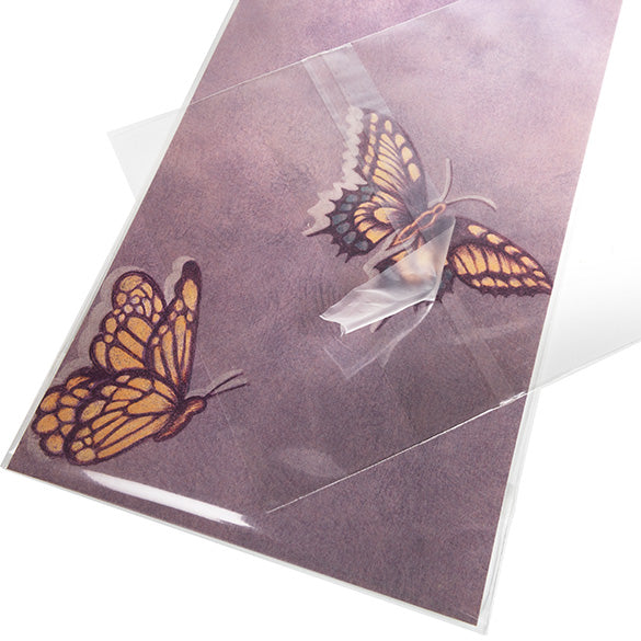 Cellofanpåsar med Eurohål 11x24,3cm Transparent med Tejpremsa (100 st) [HB49PC]