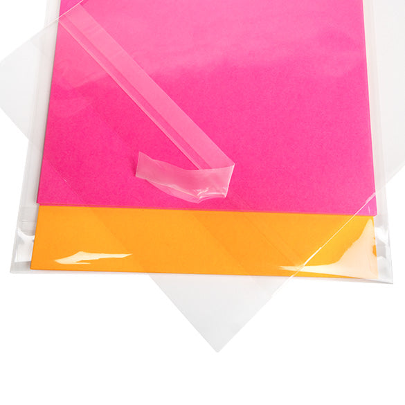 Cellofanpåsar med Eurohål 16,5x24,1cm Transparent med Tejpremsa (100 st) [HB6H9HPC]