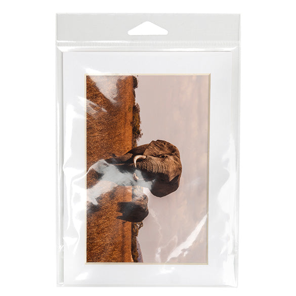 Cellofanpåsar med Eurohål 13,8x18,4cm Transparent med Tejpremsa (100 st) [HB75PC]