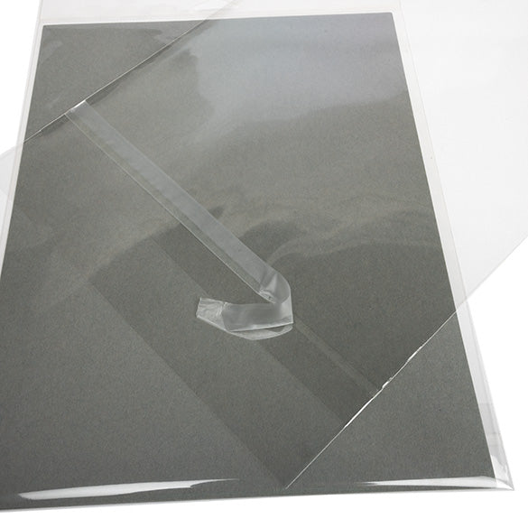 Cellofanpåsar med Eurohål 22,7x28,3cm Transparent med Tejpremsa (100 st) [HB811PC]