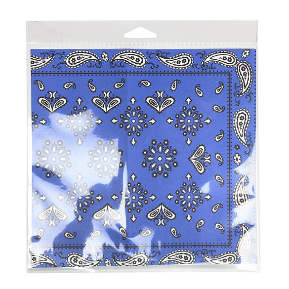 Cellofanpåsar med Eurohål 21x20,5cm Transparent med Tejpremsa (100 st) [HB88SPC]