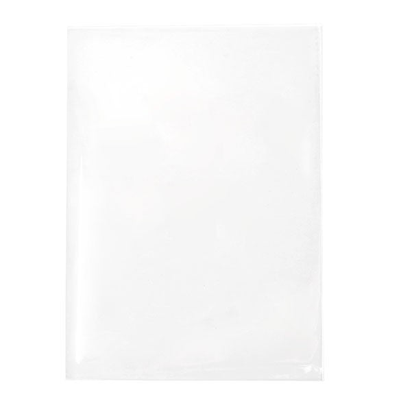 Plastpåsar 9,7x13,5cm Transparent (250 st) [VL3X5NF]