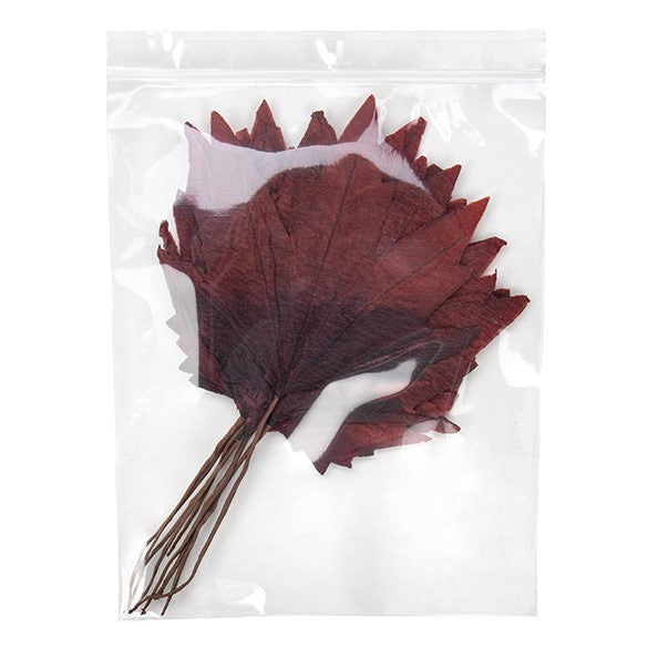 Zippåsar med häng hål 20,5x25,5cm Kristallklart PP 75 mikron (100 st) [Z3R810]