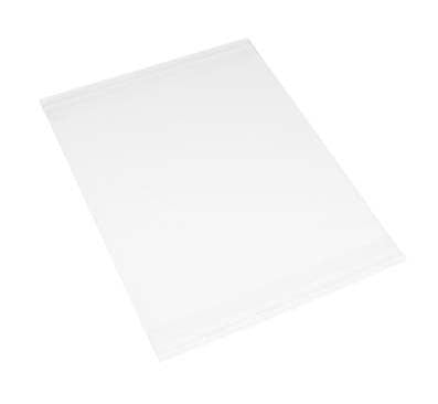 Påsar för fotopresentationer 10,8x15,6cm (100 st) [CPM4X6]