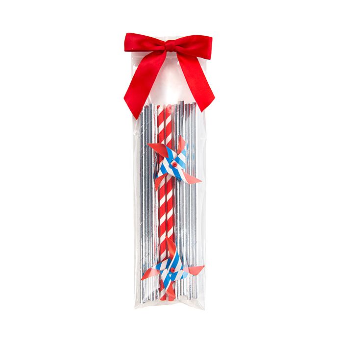 Blixtlåspåsar med häng hål 7,5x25,5cm Kristallklart PP 50 mikron (100 st) [ZR310]