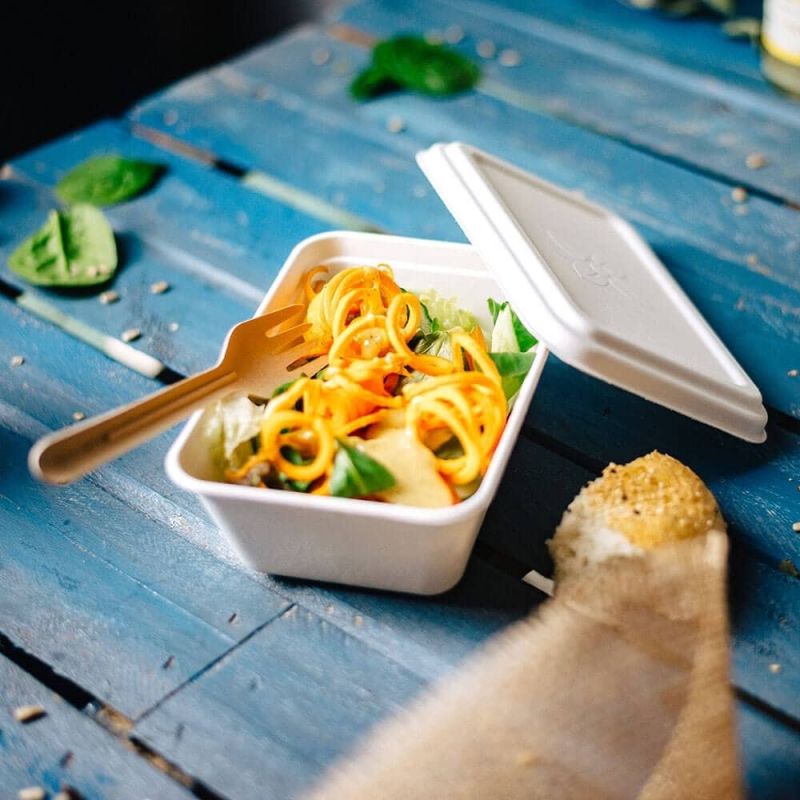 Skål Sugarcane 17x12x5 cm, 500 ml (1000 st) [GB-DFC01217]