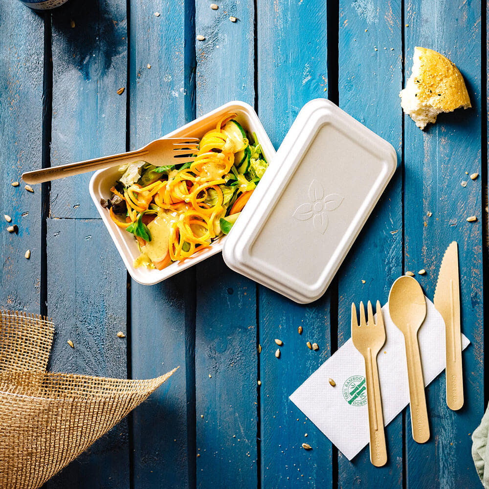 Skål Sugarcane 17x12x6 cm, 650 ml (500 st) [GB-DFC01226]