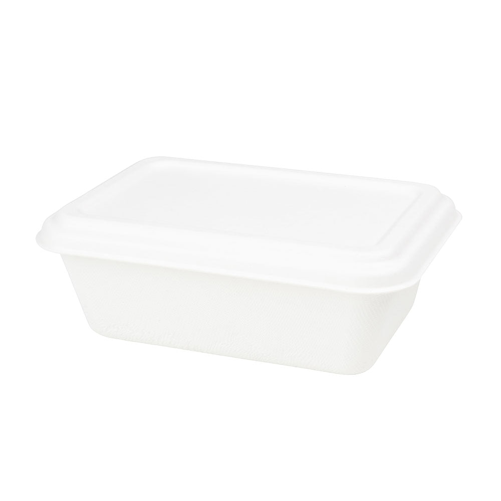 Skål Sugarcane 17x12x6 cm, 650 ml (500 st) [GB-DFC01226]