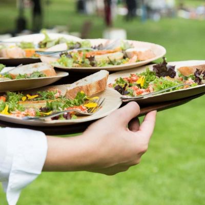 Tallrik Palmware® Ø 25 cm, rund (200 st) [GB-DTW05370]