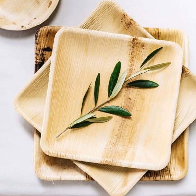 Kvadratisk tallrik Palm Leaf, 23x23 cm (200 st) [GB-DTW05640]