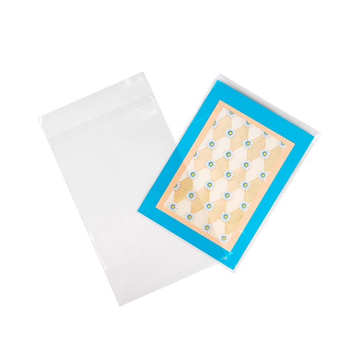 Miljövänliga påsar 15,2x24,1 cm skyddande förslutning (100 st) [GC69HPC]