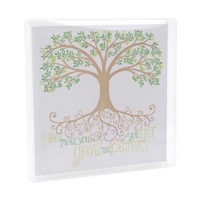 Plastlådor 13x1,6x12,9cm Kristallklart (25 st) [FB11]