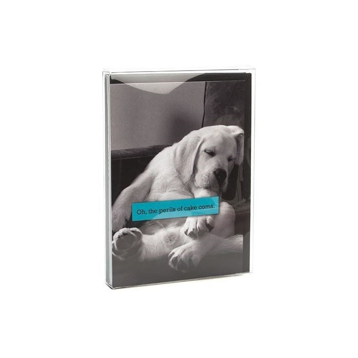 Plastic Gift Boxes 12.4x1.6x16.8cm Crystal Clear