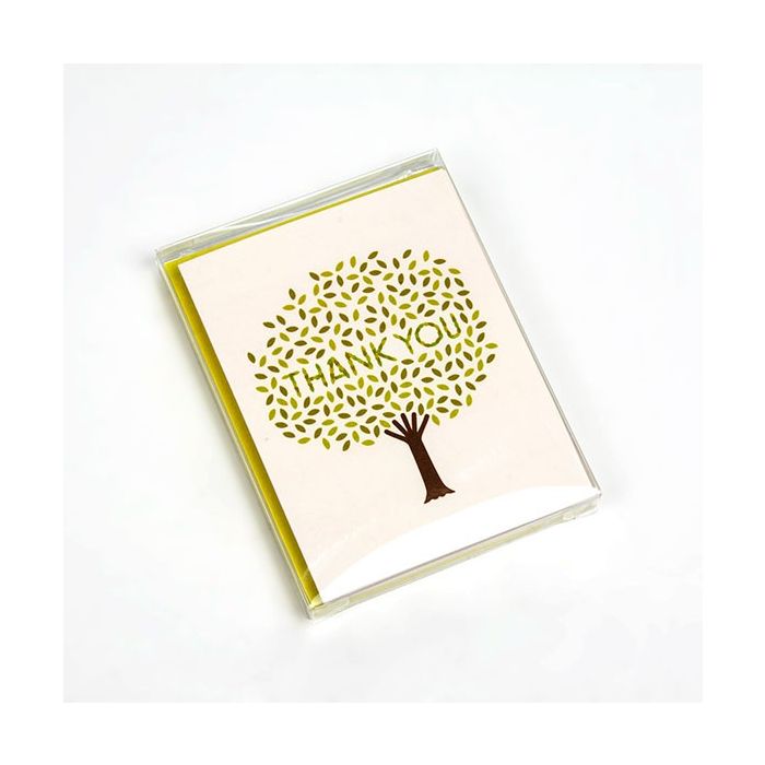 Plastlådor 11x1,5x14,5 cm Kristallklart (25 stycken [FB3]