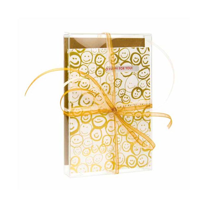 Plastlådor 9,2x1,6x14,3cm Kristallklart (25 st) [FB33]