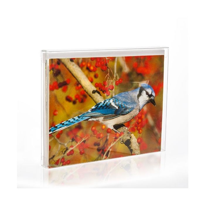 Plastlådor 11,4x1,3x14,9cm Kristallklart (25 st) [FB6]