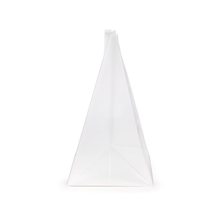 Blockbottenpåsar Frostat 10,2x10,2x17,8 cm med pappersinsats (100 St) [FFGPB9]