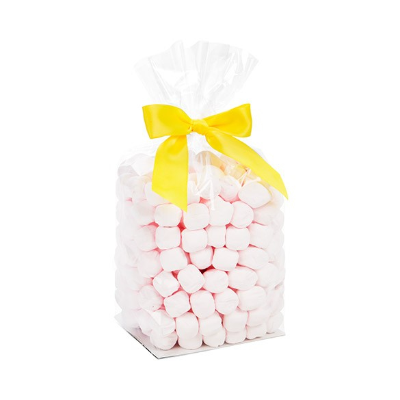 Cellofanpåsar med botten Kristallklart 10,2x7,6x25,4cm med pappersinsats (100 st) [FGPB5]