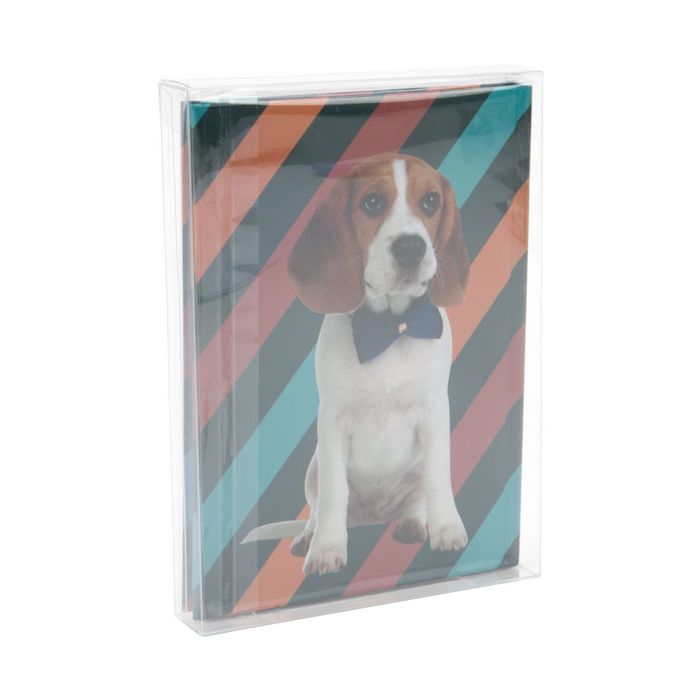 Plastlådor 13x2,5x18,1cm Kristallklart (25 st) [FPB168]