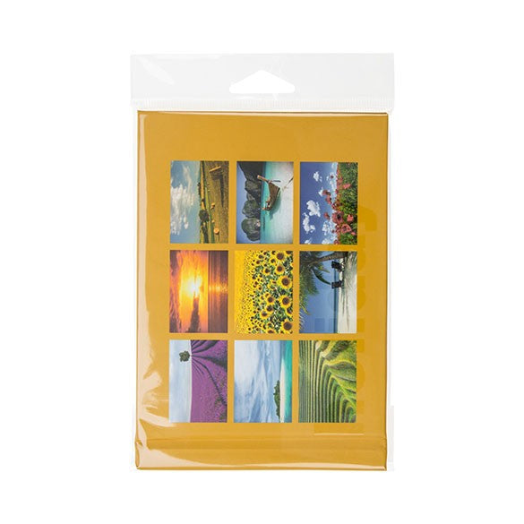 Cellofanpåsar med Eurohål 11,7x16,2cm Transparent med Tejpremsa (100 st) [HB4X6XL]