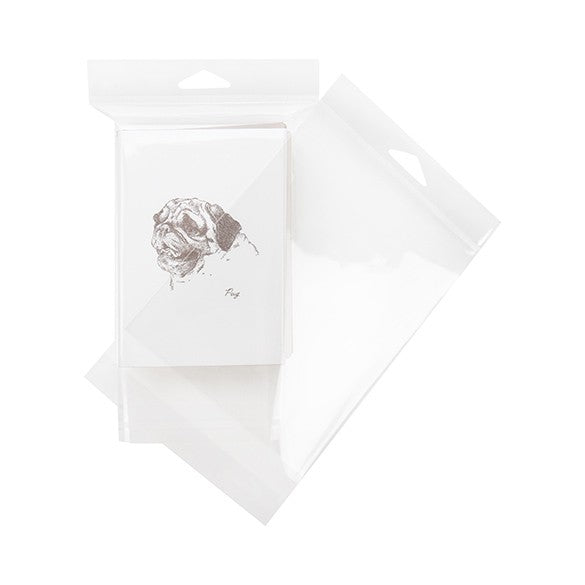 Cellofanpåsar med Eurohål 13x15,9cm Transparent med Tejpremsa (100 st) [HB5B3]