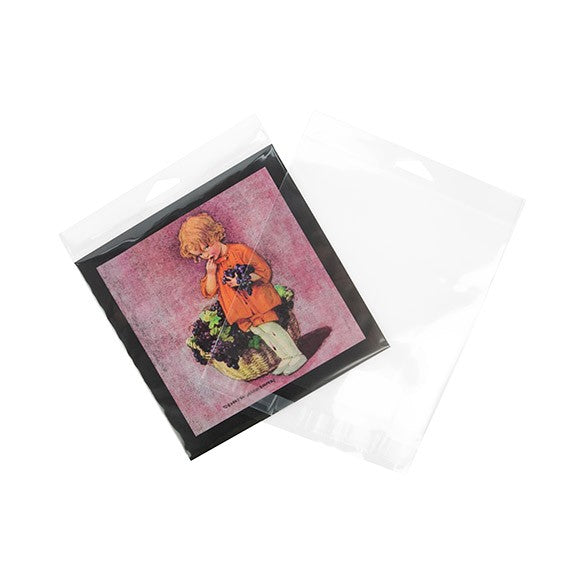 Cellofanpåsar med Eurohål 16,4x15,9cm Transparent med Tejpremsa (100 st) [HB6X6]