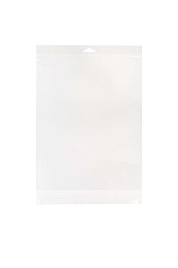 Cellofanpåsar med Eurohål 24x31,1cm Transparent med Tejpremsa (100 st) [HB9]