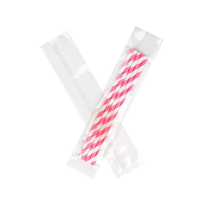 Miljövänliga påsar för hemmet Komposterbara 5,1x25,4 cm (100 st) [BGB1H210]