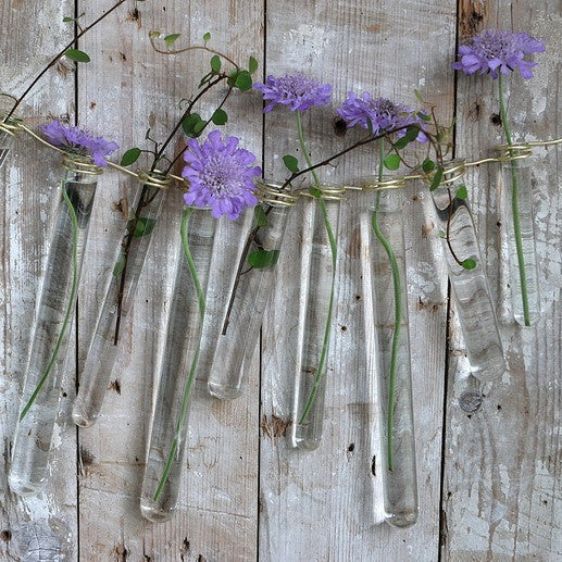 Glasprovrör 1,5 cm i diameter 10 cm högt, med ring (set med 12 st) [IFS-29201]