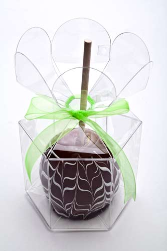 Plastic Gift Boxes with Flower Top 9.5x9.5x10.2cm Food Safe