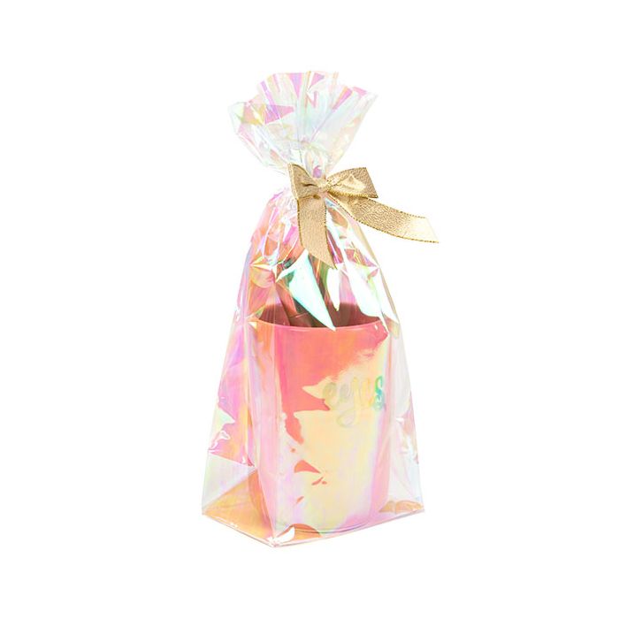 Flat Bottom Gusset w/ Paper Insert Iridescent, 2.2 Mil 12,7x7,6x30,5cm (50 st) [HFGPB1]